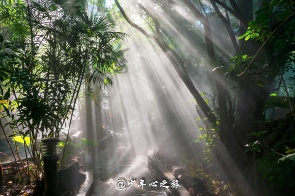 莫雷岛逃脱